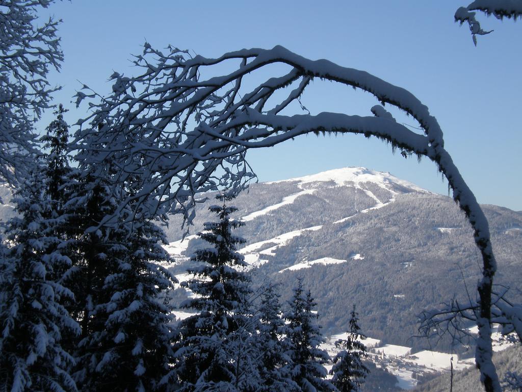Oberlechnerhof Bed & Breakfast Rasun di Sopra Luaran gambar
